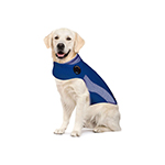 Hundebekleidung